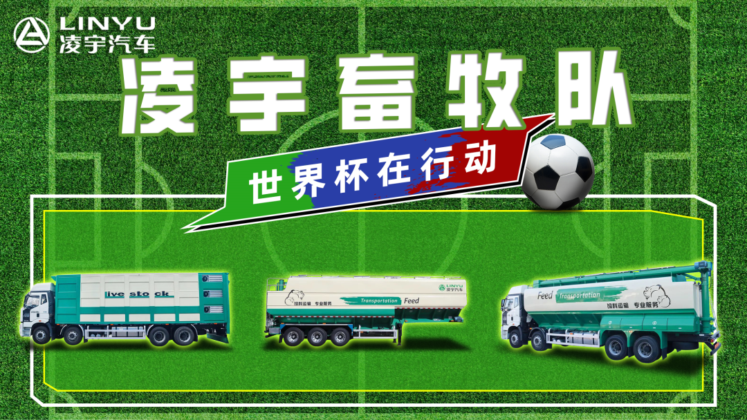 奪冠世界杯！你注意到這支球隊了嗎？